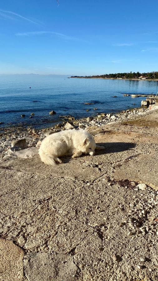 Vila Bianca Ουμάγκ Εξωτερικό φωτογραφία